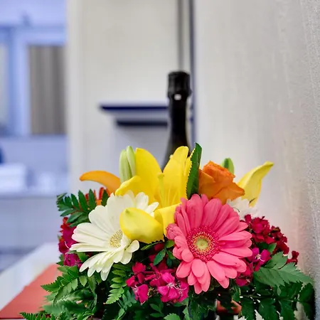 בית הארחה V Collection Jubilee