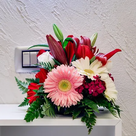 V Collection Jubilee בית הארחה