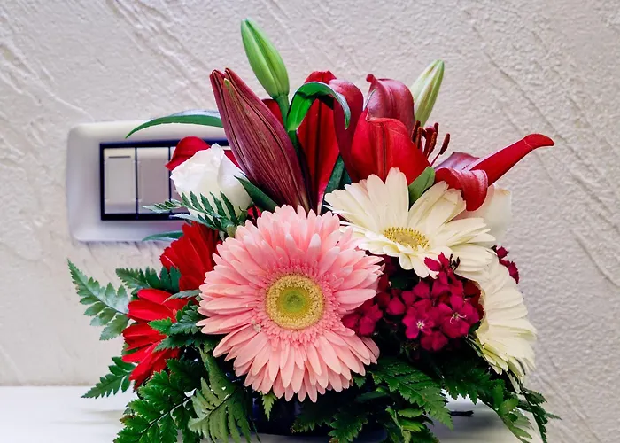 V Collection Jubilee Gæstehus